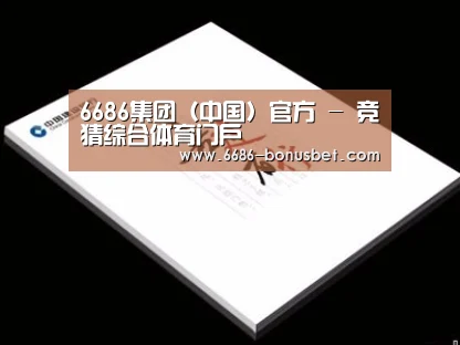 项目名称七