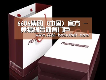 项目名称十二
