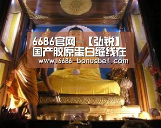 6686赛事