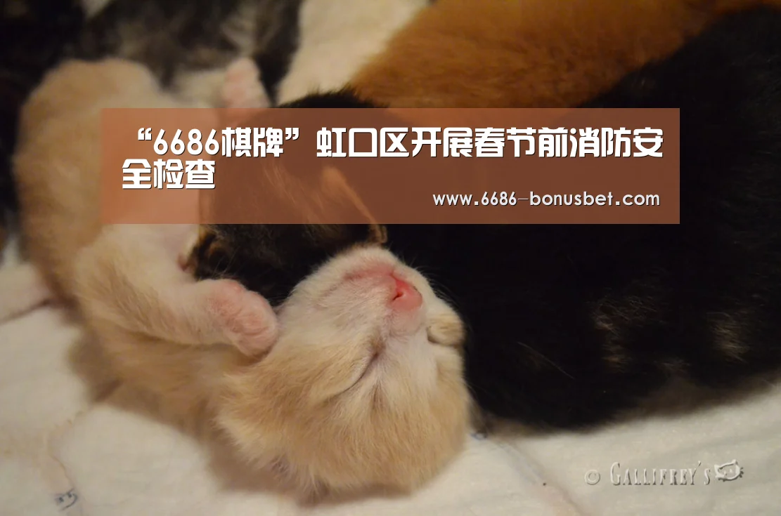 “6686棋牌”虹口区开展春节前消防安全检查(图2) 6686官网