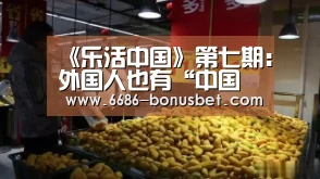6686官网
