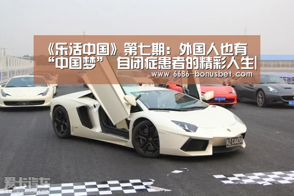 6686赛事