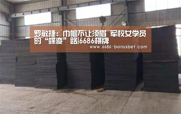 6686官网